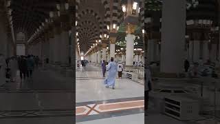 يا رب   #مسجد_نبوی_صلی_اللہ_علیہ_وسلم #shortvideo