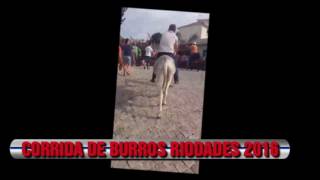 CORRIDA DE BURROS