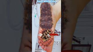 Asmr animation legs #bigasmr #satisfying #animation