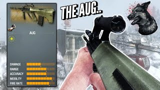 Remember The AUG From Black Ops 1...?