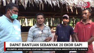 Dapat Bantuan 20 Ekor Sapi, Mursal : Terimakasih Bapak TA Khalid Anggota DPR RI Fraksi Gerindra