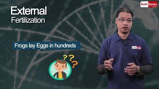 8. External Fertilization Process | Class 8 | Chapter 9