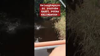 mancing predator pinggir jalan poros#mancingmaniatrans7 #mancingliar #mancinggabus #gondronglabanan