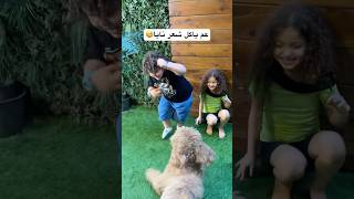 مين خاف من التاني ؟ الكلب أو نايا و علي😅 #shortvideo #viralvideo #explorepage