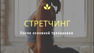 Стречинг после тренировки с Натальей Папушой