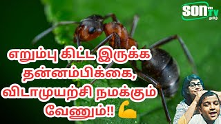 எறும்பு கிட்ட இருக்க தன்னம்பிக்கை விடாமுயற்சி நமக்கும் வேணும் !! - Motivational Story in Tamil - Son