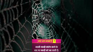 क्या आप जानते है ? black spider 🕷️😱 #shorts #youtubeshorts #education #viral #youtubeshorts #study