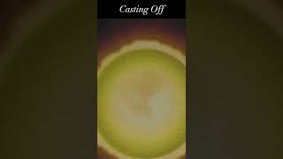 The Casting Off Of The Sun #shorts