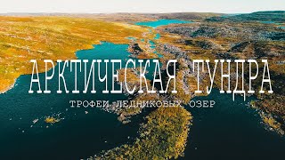 ЭТО НЕ СОН??? В ОЗЕРАХ КУЧА РЫБЫ. РЫБАЛКА В АРКТИЧЕСКОЙ ТУНДРЕ КОЛЬСКОГО ПОЛУОСТРОВА. КРАЙНИЙ ДЕНЬ.