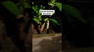 DUSUN BOJONG BULUSARI GANDRUNGMANGU CILACAP