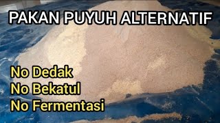 Akhirnya, Saya Menghentikan Pakan Puyuh Fermentasi