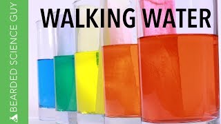 Walking Water Experiment (Chemistry)