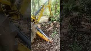 Fence line cleanup. #construction #heavyequipment #cooleysgrading