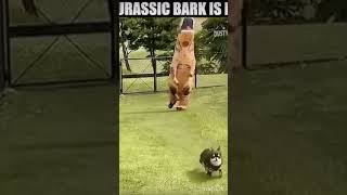 Dog memes (THERE NOT EXTINCT THERE JURRASIC PARK) #meme #laugh