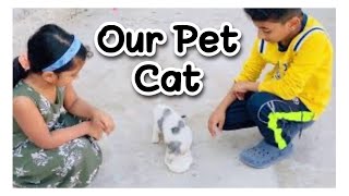 Our Pet Cat-Angela #petvlogmalayalam #mypet #petcat