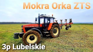 Mokra Orka Listopad 2020 !!! ZTS 16245 & Akpil