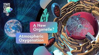 A New Organelle? Atmospheric Oxygenation | Fazale “Fuz” Rana and Hugh Ross