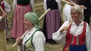 Midsommarfirande - Citadellets koloniförening 2019