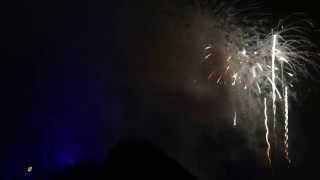 2014/2015 Magic Kingdom Park New Years Eve Fireworks Show Walt Disney World Resort