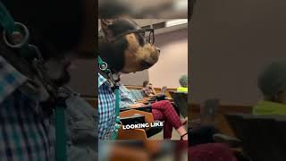 Dog secretly attends college classes 😂 #shorts #shortsvideo #shortsfeed