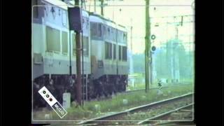 FERROVIE ITALIA   1996 Milano Certosa ,Gallarate