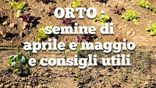 ORTO FAI DA TE :  COSA SEMINARE AD APRILE MAGGIO E CONSIGLI SULLA CURA DELLE PIANTINE \ Sua Maestà