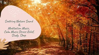 Soothing Nature and Meditation Music, Calm Music, Relax, Meditation, Stress Relief, Study, Sleep 🎶