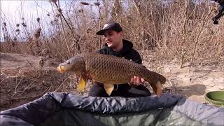 Betackle carpfishing Tevere "Umbro" - wild zone!