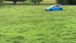 Focus RS Sheep Dog