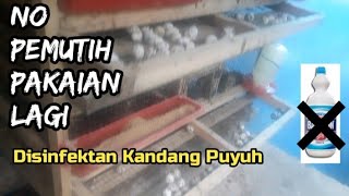 Lima Alasan Saya Meninggalkan Pemutih Pakaian sebagai Disinfektan Kandang Puyuh