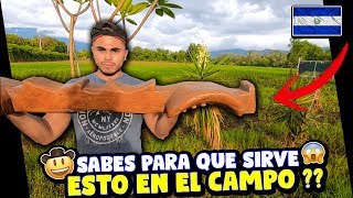 🐄Trabajando en El Campo🐮 *segunda Parte*🌾🌽