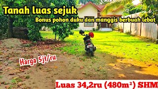 Tanah luas bonus pohon duku dan manggis berbuah lebat dekat jalan alternatif blitar kediri