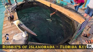 Feeding the Tarpon at Robbie's Marina in Islamorada