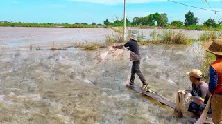 Fisherman Cast Net Fishing Real Life Amazing Fishing At Countryside.(Episode 120)