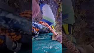 350 feet rappelling in Maharashtra