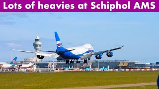 PlaneSpotting 🔴#SCHIPHOL AIRPORT HEAVY ARRIVALS! A330 Neo & More