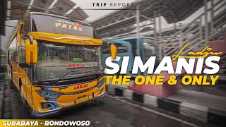 SATU-SATUNYA PATAS DI JALUR BONDOWOSO 💛 | Trip Report Ladju "Si Manis" (Patas Surabaya - Bondowoso)