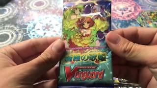 Random Cardfight Vanguard Opening!! Part 2