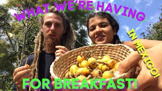 Our Fruitarian Breakfast In Mexico