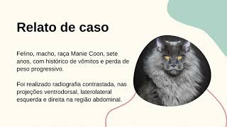 Exame Radiográfico no Diagnóstico de Tricobezoar intestinal em Gato Adulto - Relato de caso