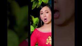 #haphuong #shortvideo #youtubeshorts