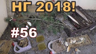 #56. Охота на КРЫС с комплексом “HWRAT-HUNTER“. НГ 2018!