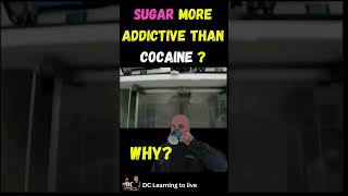 Is sugar more addictive than cocaine?  #shorts