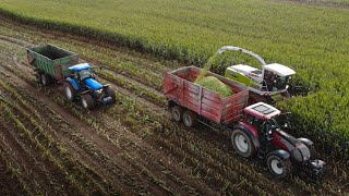 Corn chopping 2020 | Claas Jaguar 850, Valtra & New holland [4K]