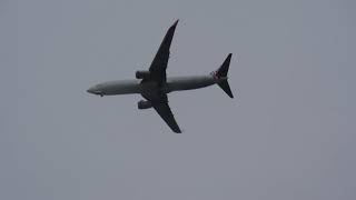 Virgin Australia B737 & Hinterland Aviation C208 ILS Approach