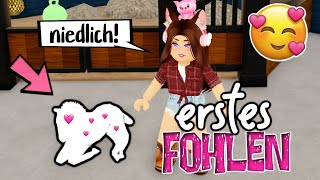 wir ZÜCHTEN unser 🅴🆁🆂🆃🅴🆂 FOHLEN 🐴✅ in Wild Horse Islands 🌴 Roblox DEUTSCH