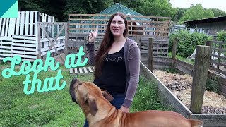 Friday Farm Vlog 64 -We got it up