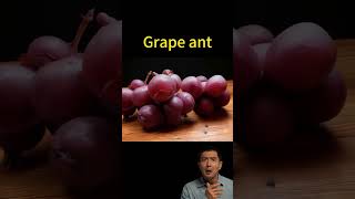 What if fruits can move #funny #grape