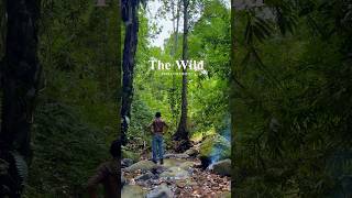 The Wild, Rain Forest, Sendiri di Hutan #shorts