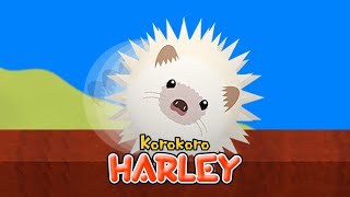 Korokoro Harley (Nintendo Switch Gameplay)